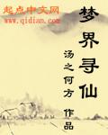 寻梦幻境在哪
