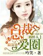 二婚成宠;总裁缠爱不休