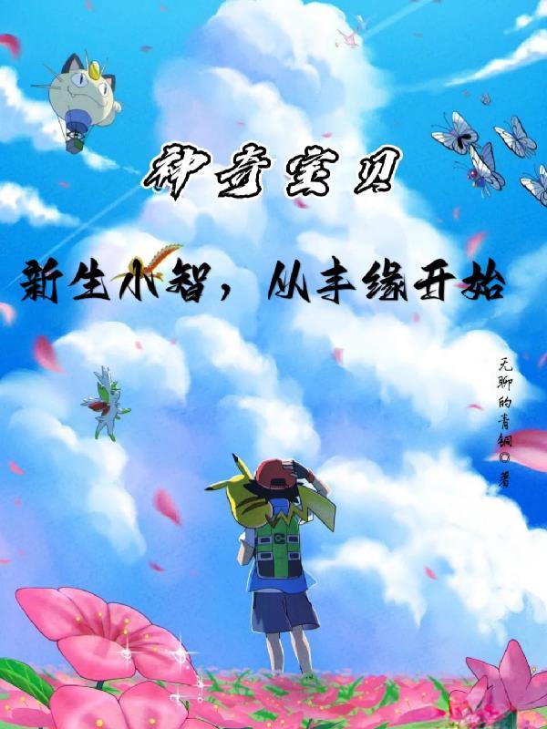 神奇宝贝之小智巅峰之路