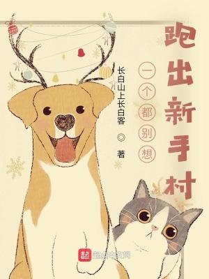 我在新手村称霸一口气看完