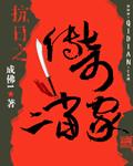 抗日奇侠2我是传奇02