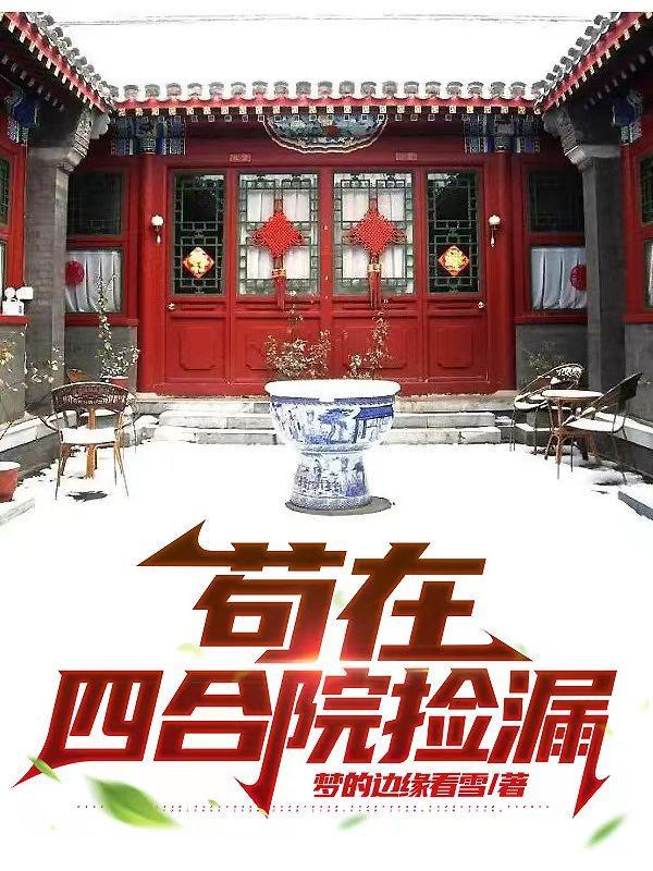 苟在四合院捡漏梦的边缘看雪