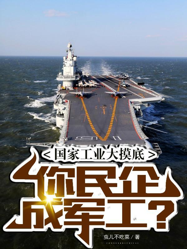 你民企成军工?完整版在线