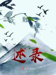 述录宝