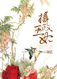 重生之摄政王妃归来