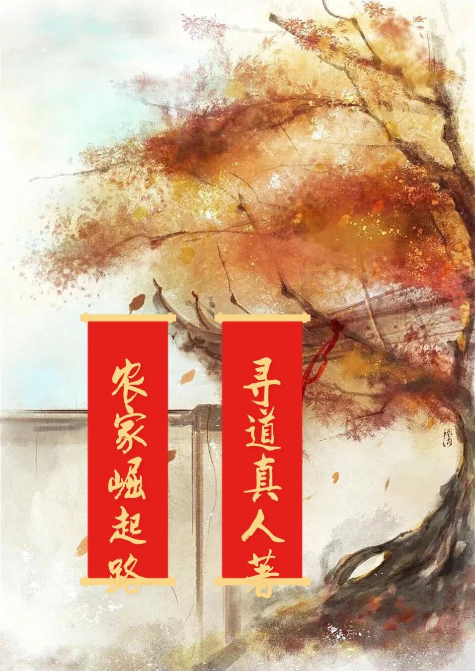 慢慢崛起路
