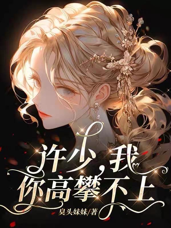 书名叫做你高攀不起