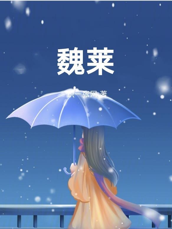 魏莱服装