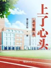 才下眉头上心头打三数字