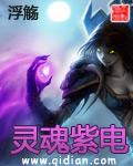 灵魂紫电在线阅读