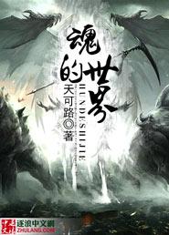魂的世界 书籍
