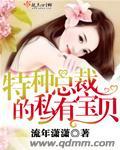 总裁的私有宝贝类型