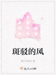 斑驳的时光意思是什么