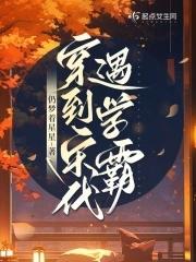 穿越到宋朝的全部