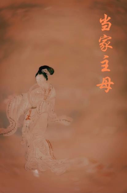 重生之当家主母全文阅读