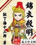 锦衣杀明笔趣阁无弹窗