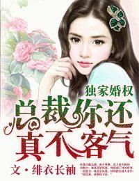 独家妻约