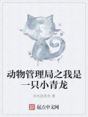 动物管理局主受