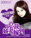 总裁追爱娇妻嫁一送一