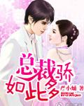 如此总裁怎能不爱