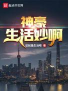 神豪生活系统