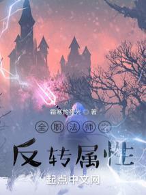 全职法师之反转属性主角简介