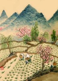 重生年代文的路人甲by烂柯人完结了吗