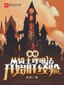 骑士在巫师世界