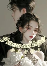 公主与骑士的漫画叫什么名字