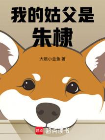 我的姑父是朱棣第二部