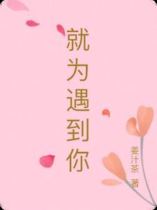 为了遇见你表达什么