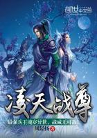 凌天战尊最新章节