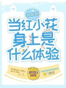 穿到书里当女主