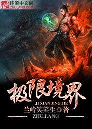 极限武尊的境界