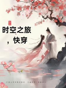 宝姐姐时空之旅综穿