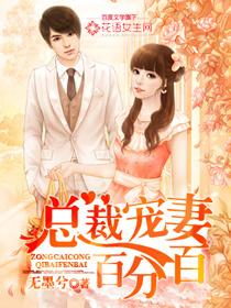 总裁宠妻百分百夏小络