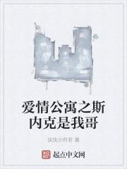 爱情公寓之神经