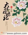 大明双龙传