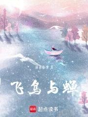 飞鸟与蝉的故事