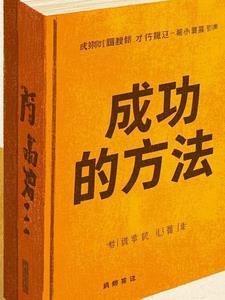 成功的方法论