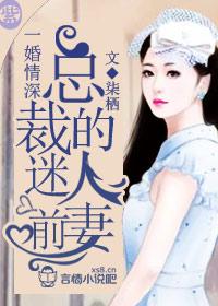 总裁前妻文