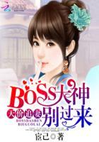 天价总裁追逃妻