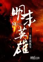明末英雄传2.11.2装备