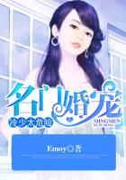名门掠爱冷少的契约新娘