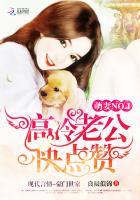 萌妻no.1高冷老公快点赞txt