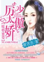 暖婚蜜爱厉少太骄傲
