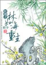 红楼之林如海重生故事简介