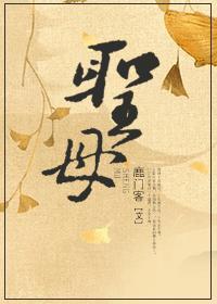 圣母婊和圣母区别