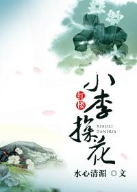 红楼小李探花txt