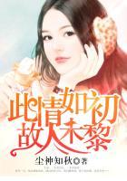 此情如初故人未黎陆遥